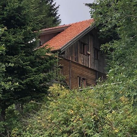Haus Hanna Вольфсберг Экстерьер фото